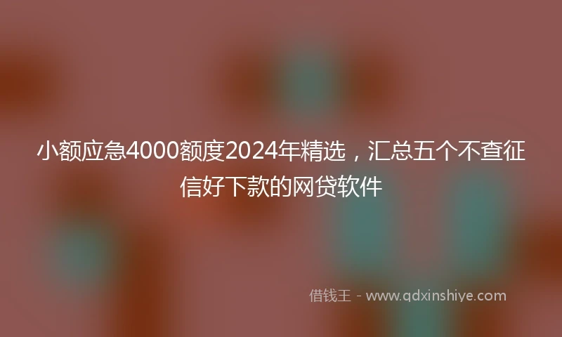 小额应急4000额度2024年精选，汇总五个不查征信好下款的网贷软件