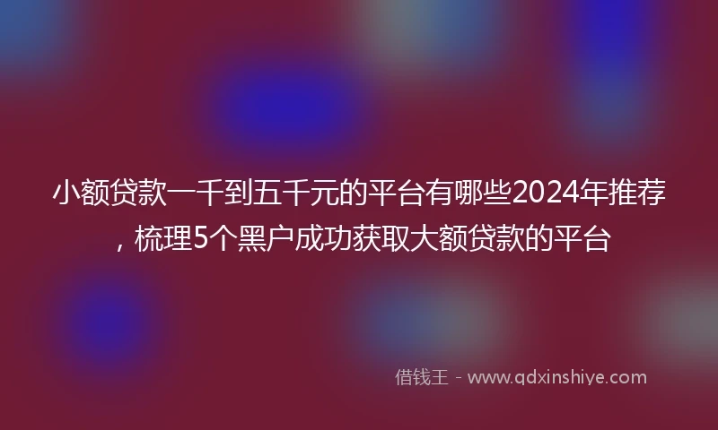 小额贷款一千到五千元的平台有哪些2024年推荐，梳理5个黑户成功获取大额贷款的平台