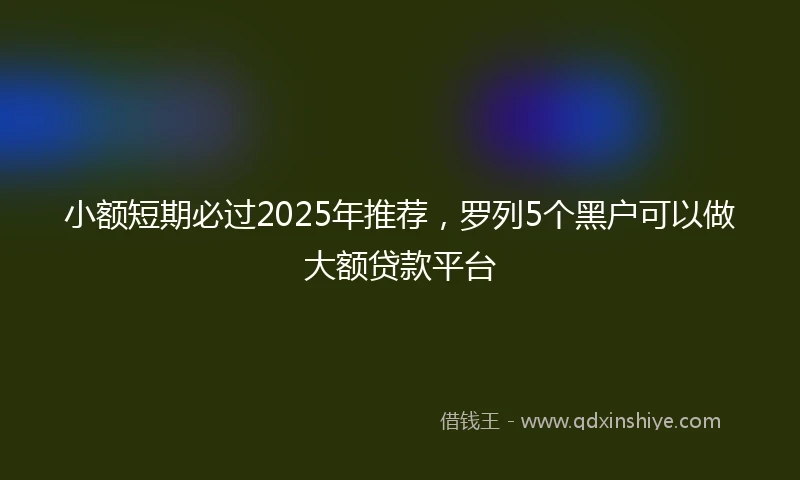 小额短期必过2025年推荐，罗列5个黑户可以做大额贷款平台