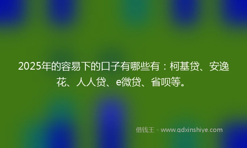 2025年的容易下的口子有哪些有：柯基贷、安逸花、人人贷、e微贷、省呗等。