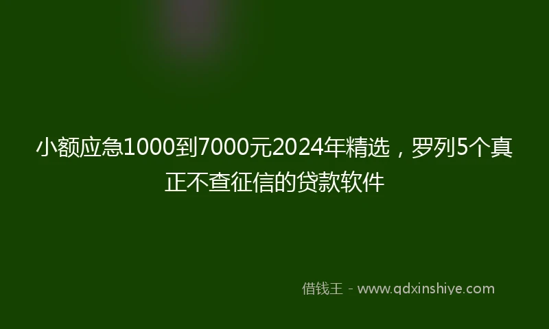 小额应急1000到7000元2024年精选，罗列5个真正不查征信的贷款软件