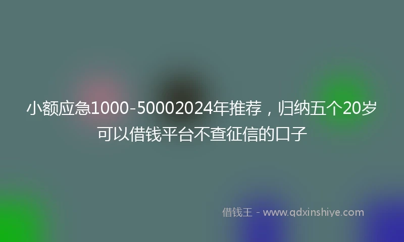 小额应急1000-50002024年推荐，归纳五个20岁可以借钱平台不查征信的口子