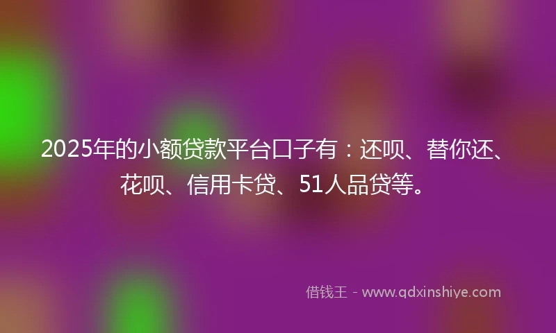2025年的小额贷款平台口子有：还呗、替你还、花呗、信用卡贷、51人品贷等。