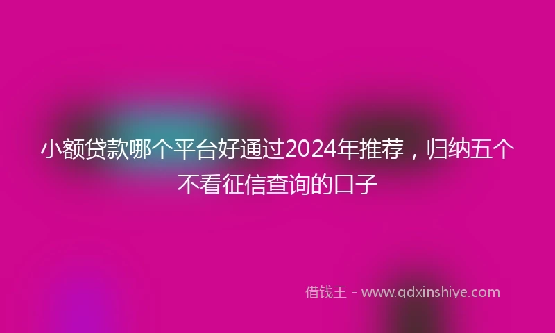小额贷款哪个平台好通过2024年推荐，归纳五个不看征信查询的口子