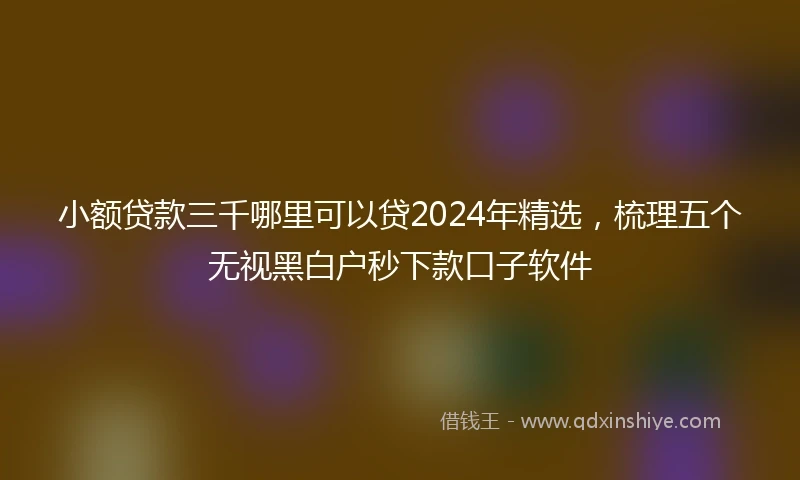 小额贷款三千哪里可以贷2024年精选，梳理五个无视黑白户秒下款口子软件