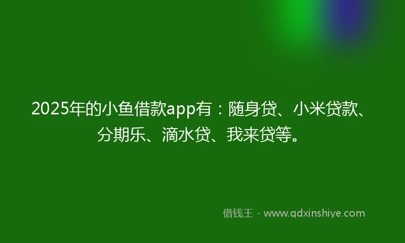 2025年的小鱼借款app有：随身贷、小米贷款、分期乐、滴水贷、我来贷等。