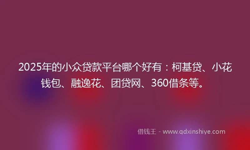 2025年的小众贷款平台哪个好有：柯基贷、小花钱包、融逸花、团贷网、360借条等。