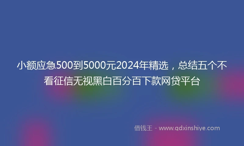 小额应急500到5000元2024年精选，总结五个不看征信无视黑白百分百下款网贷平台