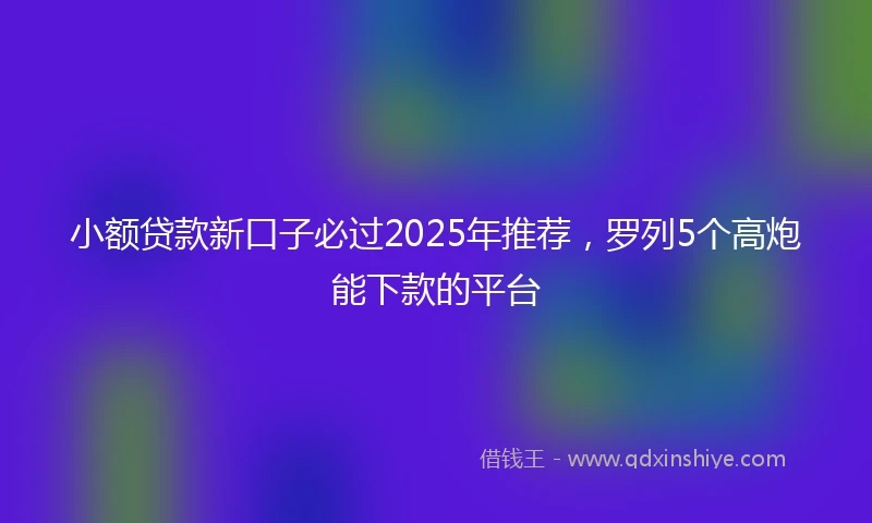 小额贷款新口子必过2025年推荐，罗列5个高炮能下款的平台