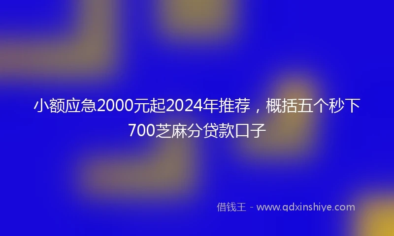 小额应急2000元起2024年推荐，概括五个秒下700芝麻分贷款口子