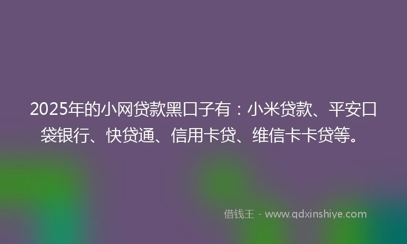 2025年的小网贷款黑口子有：小米贷款、平安口袋银行、快贷通、信用卡贷、维信卡卡贷等。
