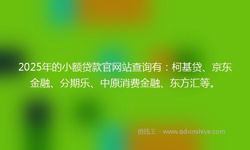 2025年的小额贷款官网站查询有：柯基贷、京东金融、分期乐、中原消费金融、东方汇等。