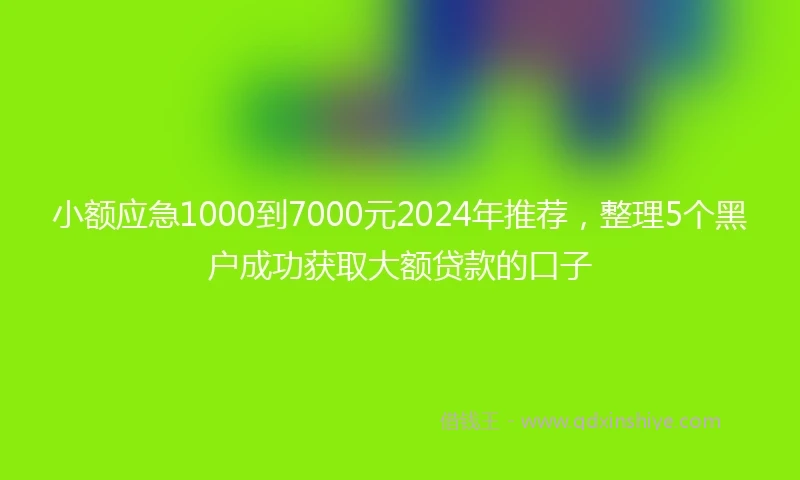 小额应急1000到7000元2024年推荐，整理5个黑户成功获取大额贷款的口子