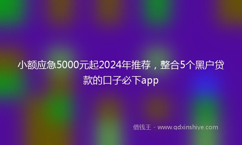 小额应急5000元起2024年推荐，整合5个黑户贷款的口子必下app