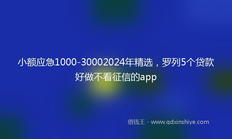 小额应急1000-30002024年精选，罗列5个贷款好做不看征信的app