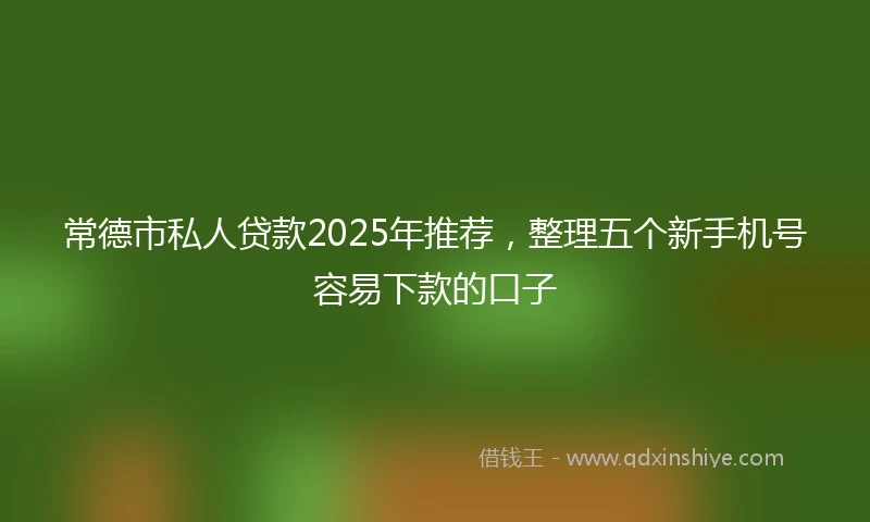 常德市私人贷款2025年推荐，整理五个新手机号容易下款的口子