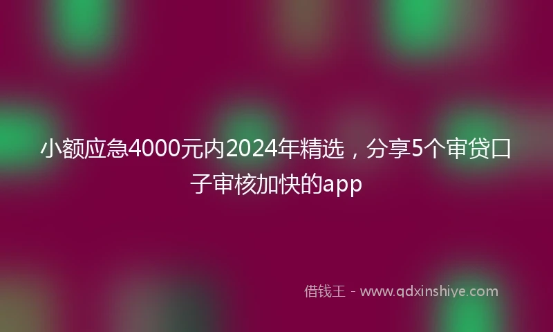 小额应急4000元内2024年精选，分享5个审贷口子审核加快的app