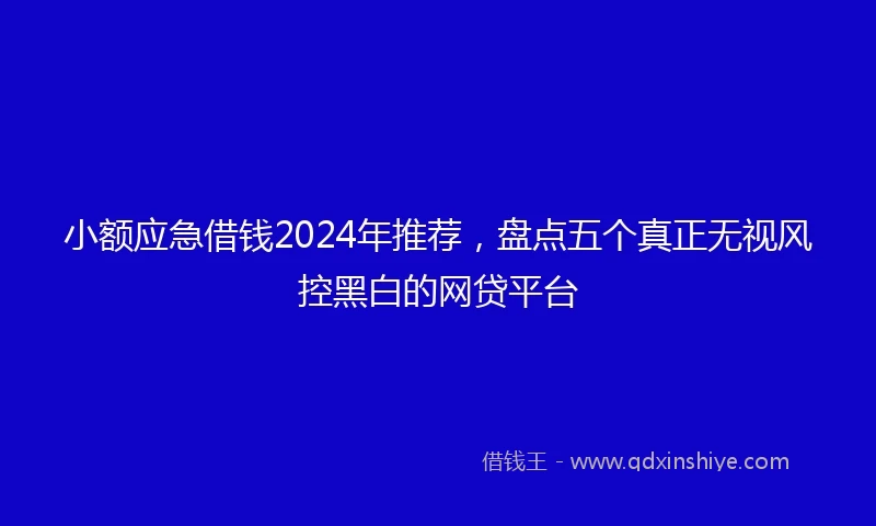 小额应急借钱2024年推荐，盘点五个真正无视风控黑白的网贷平台