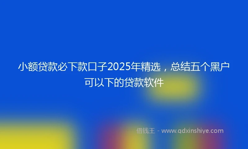 小额贷款必下款口子2025年精选，总结五个黑户可以下的贷款软件