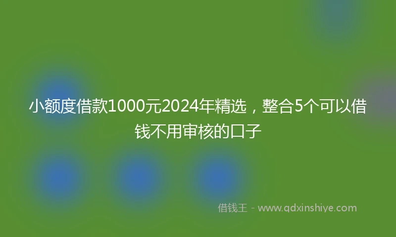 小额度借款1000元2024年精选，整合5个可以借钱不用审核的口子