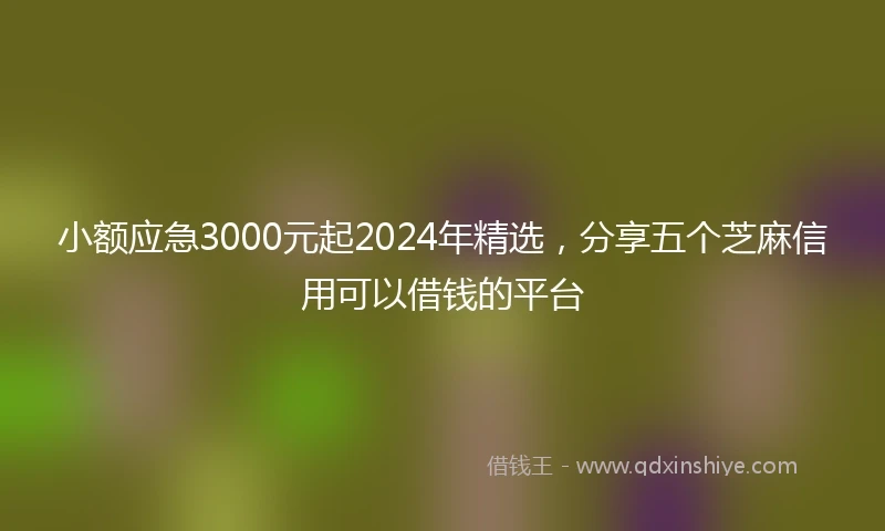 小额应急3000元起2024年精选，分享五个芝麻信用可以借钱的平台