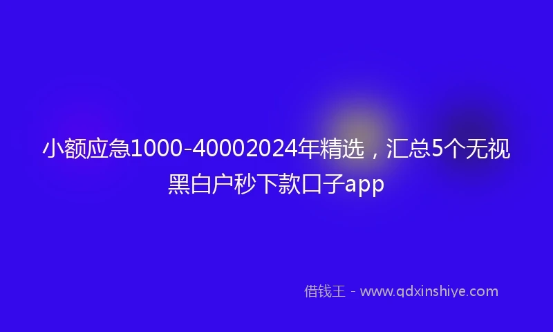 小额应急1000-40002024年精选，汇总5个无视黑白户秒下款口子app