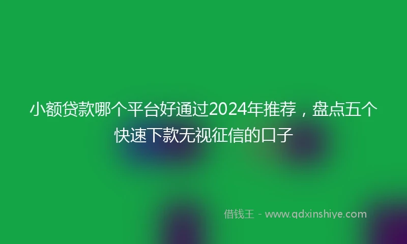 小额贷款哪个平台好通过2024年推荐，盘点五个快速下款无视征信的口子