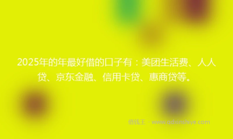 2025年的年最好借的口子有：美团生活费、人人贷、京东金融、信用卡贷、惠商贷等。