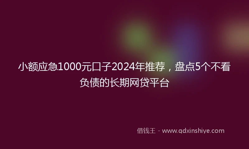 小额应急1000元口子2024年推荐，盘点5个不看负债的长期网贷平台