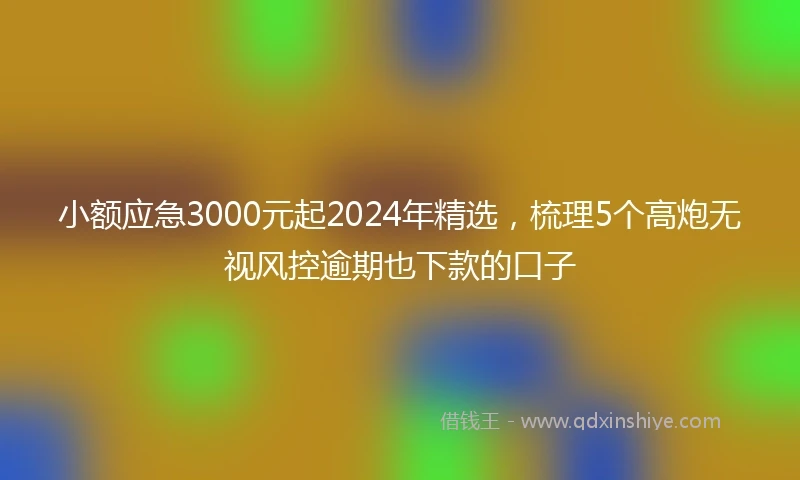小额应急3000元起2024年精选，梳理5个高炮无视风控逾期也下款的口子