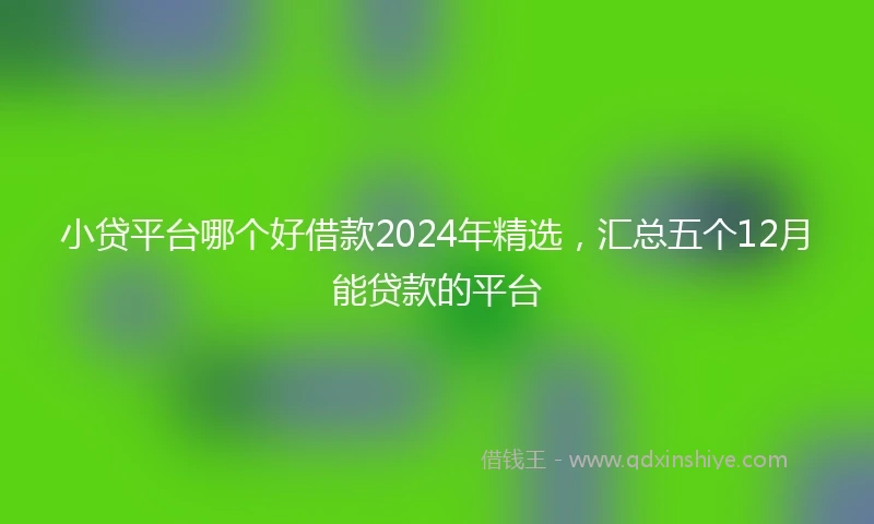 小贷平台哪个好借款2024年精选，汇总五个12月能贷款的平台