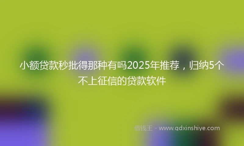 小额贷款秒批得那种有吗2025年推荐，归纳5个不上征信的贷款软件
