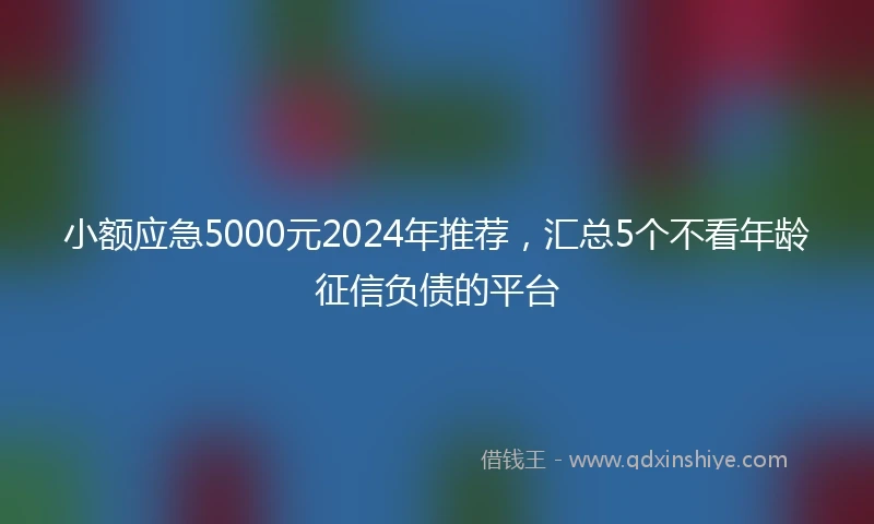 小额应急5000元2024年推荐，汇总5个不看年龄征信负债的平台