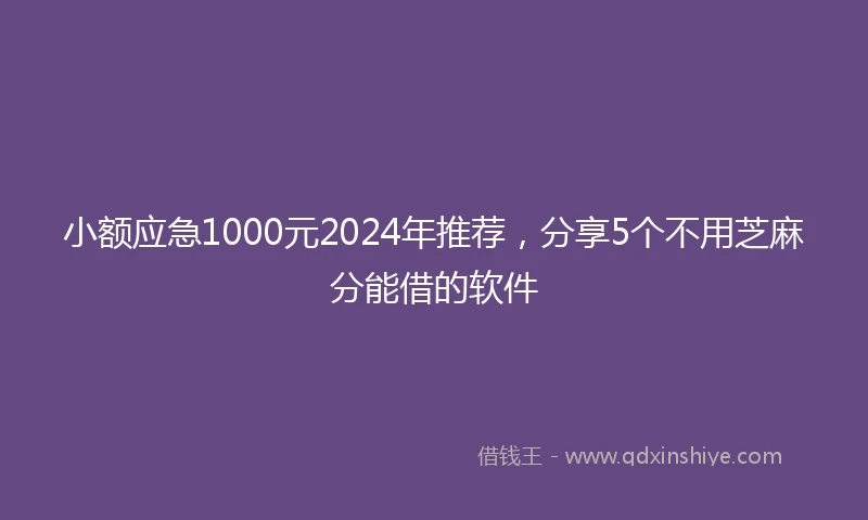小额应急1000元2024年推荐，分享5个不用芝麻分能借的软件