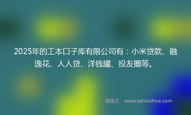 2025年的工本口子库有限公司有：小米贷款、融逸花、人人贷、洋钱罐、投友圈等。