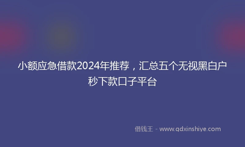 小额应急借款2024年推荐，汇总五个无视黑白户秒下款口子平台