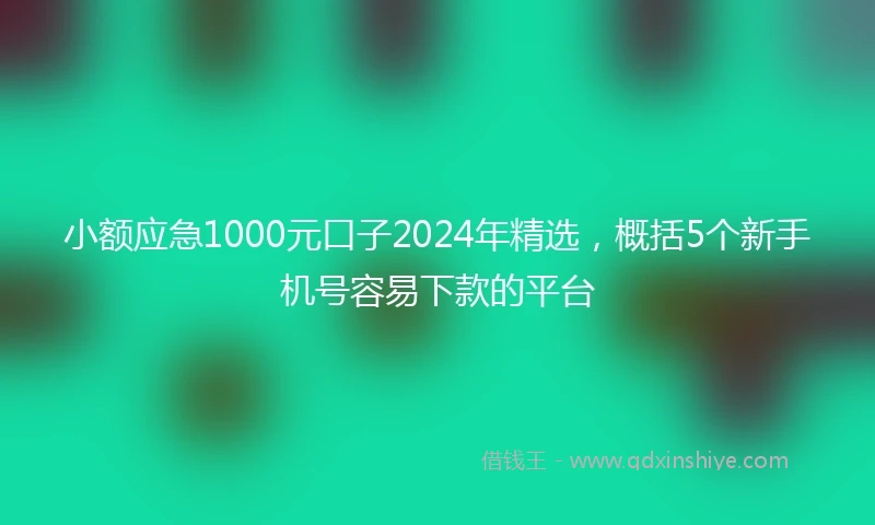 小额应急1000元口子2024年精选，概括5个新手机号容易下款的平台