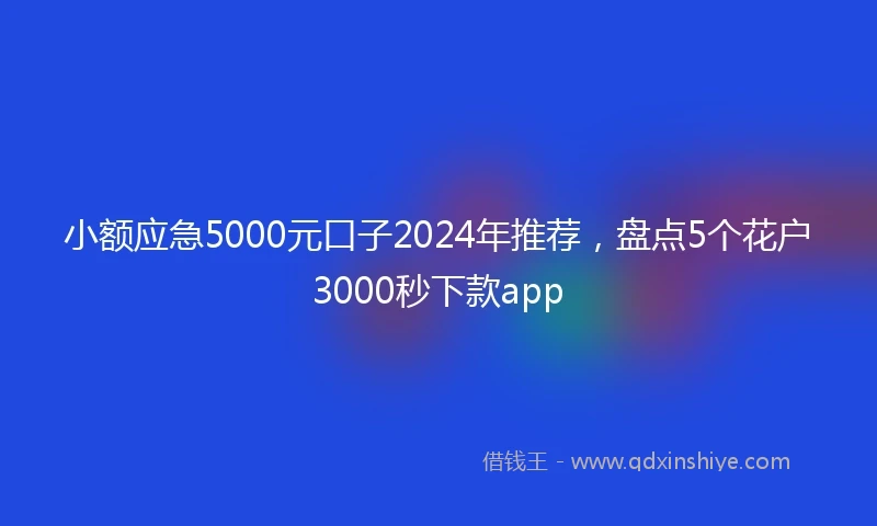 小额应急5000元口子2024年推荐，盘点5个花户3000秒下款app