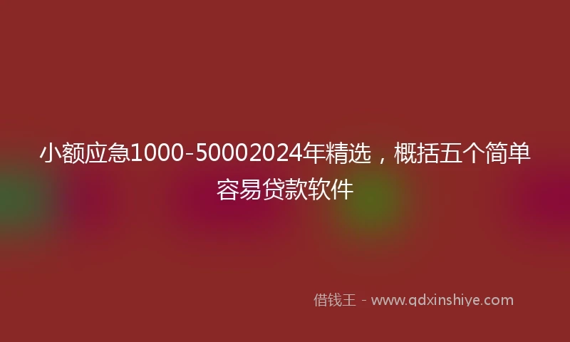 小额应急1000-50002024年精选，概括五个简单容易贷款软件