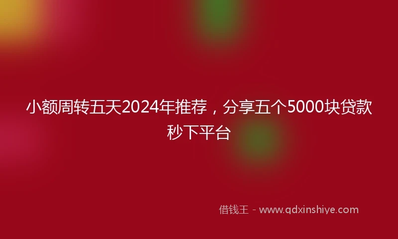 小额周转五天2024年推荐，分享五个5000块贷款秒下平台