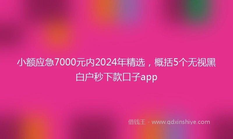 小额应急7000元内2024年精选，概括5个无视黑白户秒下款口子app