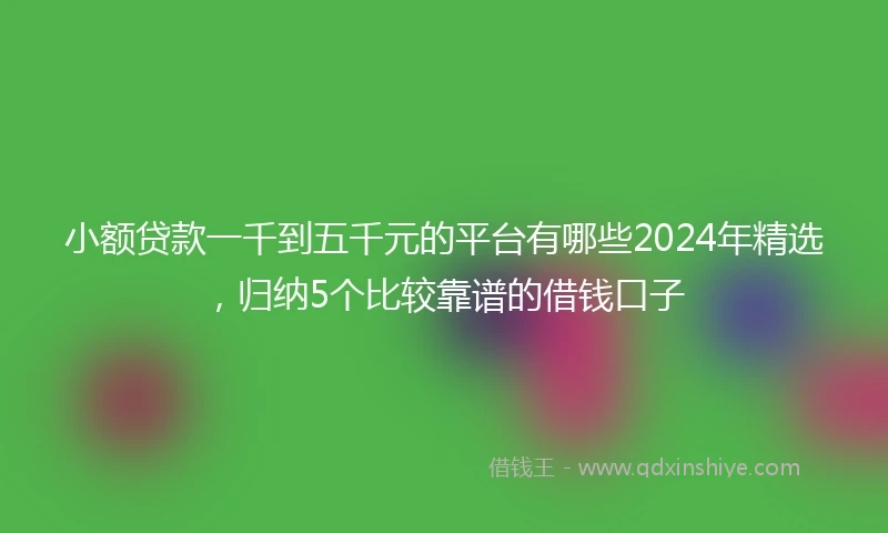 小额贷款一千到五千元的平台有哪些2024年精选，归纳5个比较靠谱的借钱口子