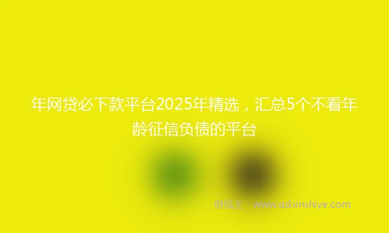 年网贷必下款平台2025年精选，汇总5个不看年龄征信负债的平台
