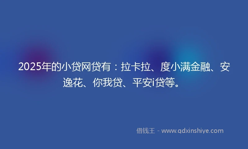 2025年的小贷网贷有：拉卡拉、度小满金融、安逸花、你我贷、平安i贷等。