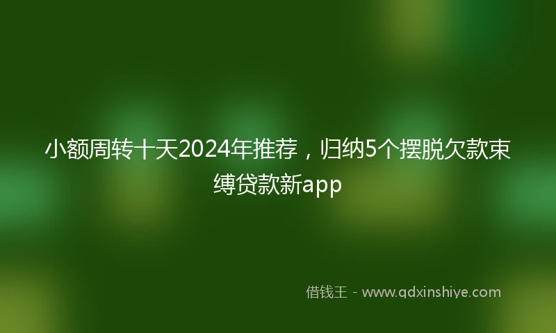 小额周转十天2024年推荐，归纳5个摆脱欠款束缚贷款新app