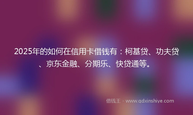 2025年的如何在信用卡借钱有：柯基贷、功夫贷、京东金融、分期乐、快贷通等。