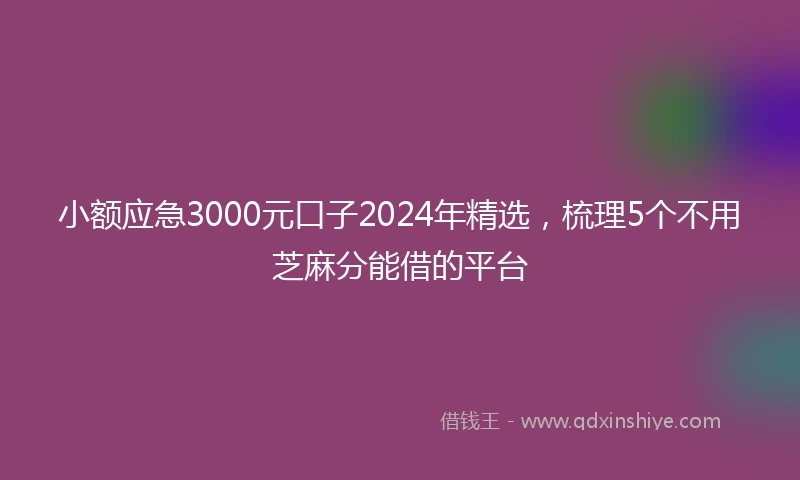 小额应急3000元口子2024年精选，梳理5个不用芝麻分能借的平台