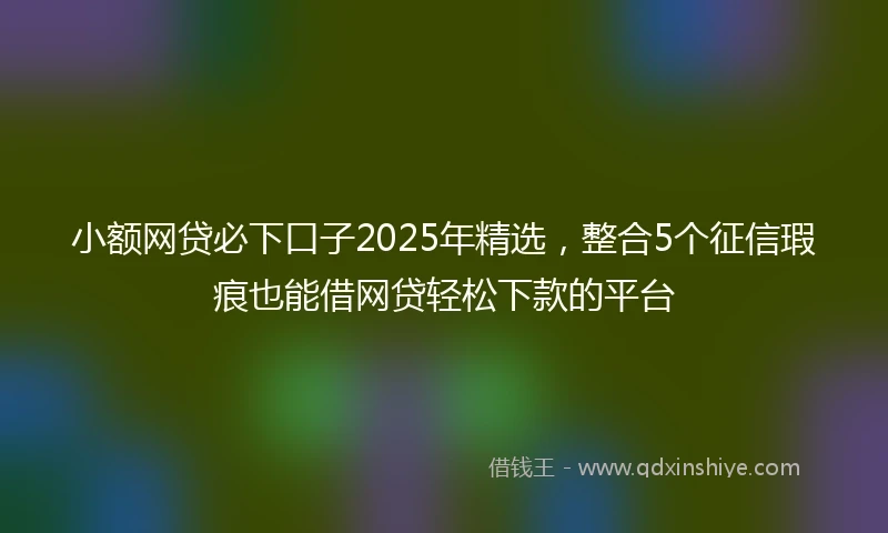 小额网贷必下口子2025年精选，整合5个征信瑕疵也能借网贷轻松下款的平台