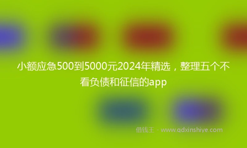 小额应急500到5000元2024年精选，整理五个不看负债和征信的app