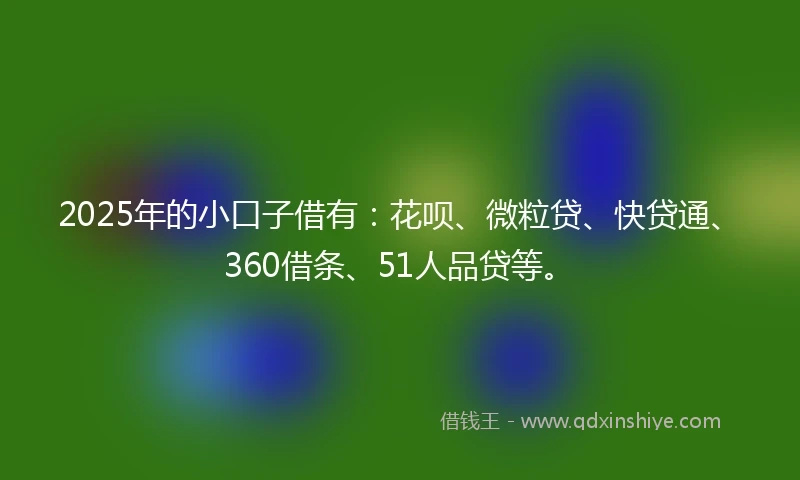 2025年的小口子借有：花呗、微粒贷、快贷通、360借条、51人品贷等。